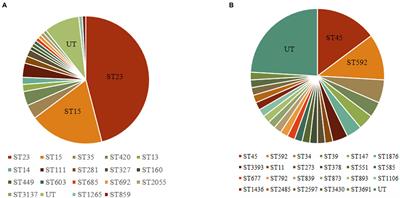 Coexistence of blaKPC-IncFII plasmids and type I-E* CRISPR-Cas systems in ST15 Klebsiella pneumoniae